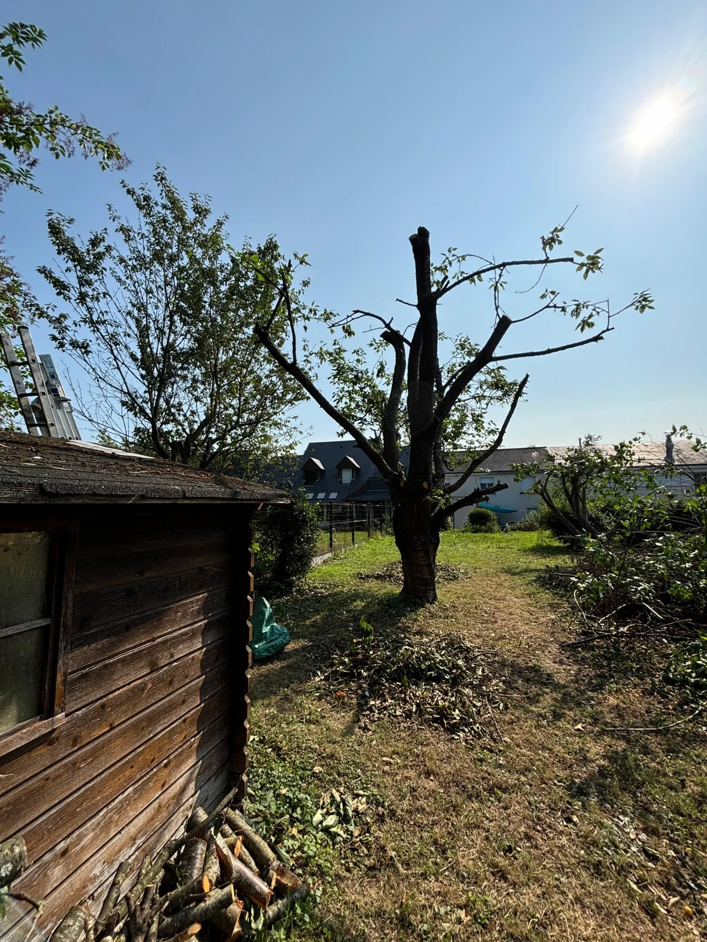 1c9d3aa6 b9d3 47ff b430 ce3a52a6de47